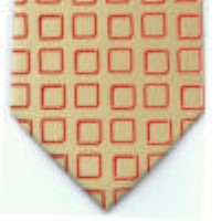 cravata model PT30