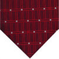 cravata model PT9