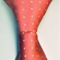 Cadouri:cravata model C14