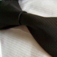 cravata model SR39