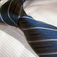 cravata model SR53