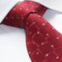 Cadouri : cravata matase naturala model M13