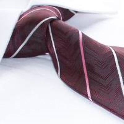 cravata model A26