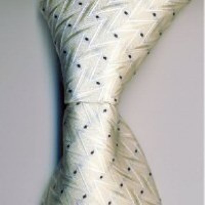 Cadouri:cravata model C12