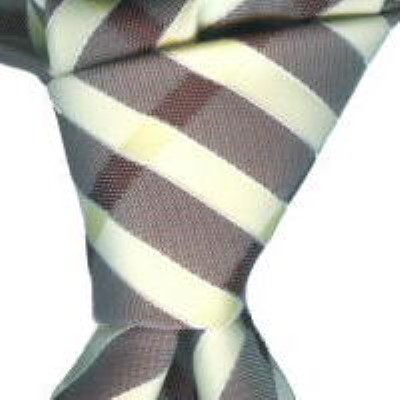 Cadouri : cravata model P31