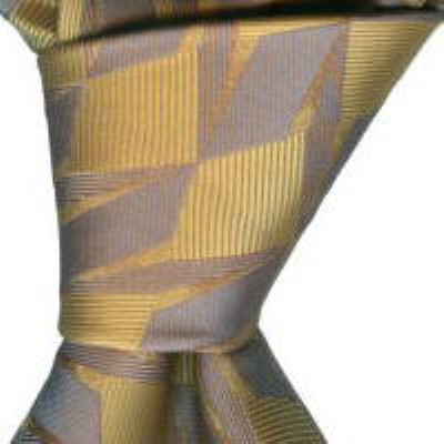 Cadouri : cravata model P73