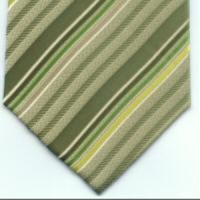 cravata model PT56