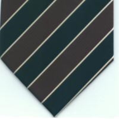 cravata model PT61