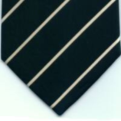 cravata model PT69
