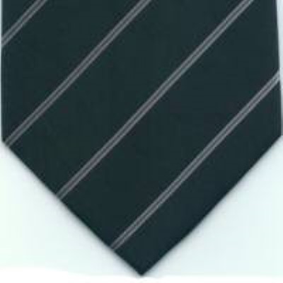 cravata model PT70