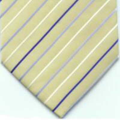 cravata model PT77