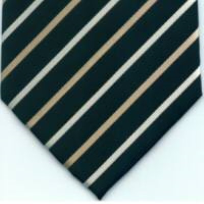 cravata model PT95