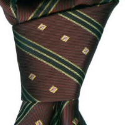 cravata model R21