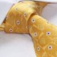 Cadouri : cravata matase naturala model MT25
