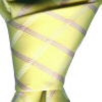 Cadouri : cravata model P28