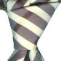 Cadouri : cravata model P31