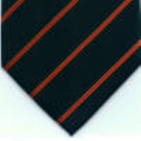 cravata model PT68