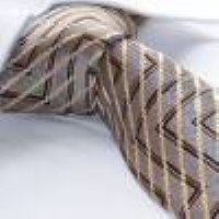 cravata model PT73