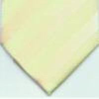 cravata model PT83