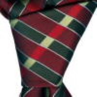 cravata model R14